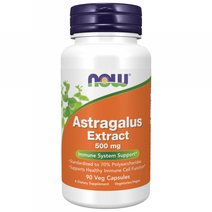 나우푸드 아스트라갈러스 추출물 500mg 베지 캡슐, 90정, 1개