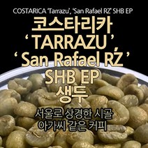 필더컵 코스타리카 Tarrazu San Rafael RZ SHB EP 생두, 원두, 1kg, 1kg, 1개