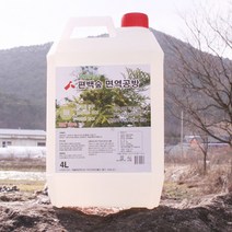 편백나무 피톤치드액 벽지 곰팡이냄새제거제 차량냄새제거제, 편백향, 1개, 2000ml, 1개, 2L