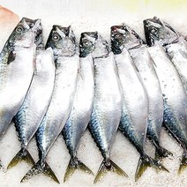 새우몰 국산 간고등어 12마리 1.8kg내외 1%저염 제철 참고등어, 1.9kg내외(12미), 1개