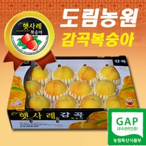 햇사레 복숭아 감곡 햇사래 백도 유명 황도 천중도 엘바더 엘바드 미백 몽부사 복숭아즙 산지직송 도림농원, 10과, 햇사레복숭아 3.0Kg