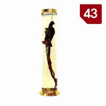 용천자연유리 담금주병 수동 43호, 6개, 1개