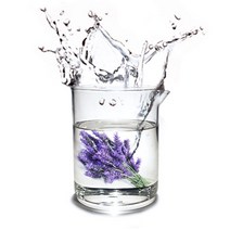 마타바 라벤더 워터 (diy재료), 100ml, 1개