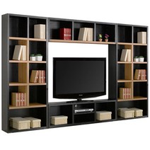 리피트리 리피트리 로센 35T 거실을서재로 326 대형 TV책장 세트, 블랙