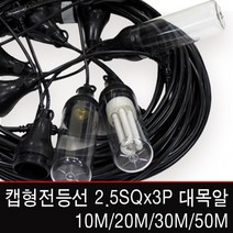 신광전기 캡형전등선2.5SQx3C/대모갈/10M/작업등, [램프] 삼파장램프 75W(E39)