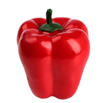 제이앤씨 모형채소, 홍피망