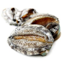 하늘뜰 완도 참전복 1kg 세트, 없음, 완도 참 전복 1kg(23-25마리)