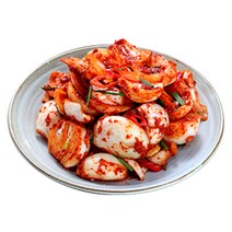 토종원/이맑은김치 양파김치 5kg/전라남도 해남 화원농협, 5kg, 1개