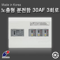 상도전기 분전함모음 노출 매입 30AF 50AF 차단기 두꺼비집 3회로~10회로 분전반, [분전함12-1] 노출형 분전함 30AF 3회로(배선용)