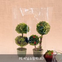 PE 비닐 쇼핑백 비닐봉투_다용도비닐쇼핑백_테이크아웃봉투, PE 비닐쇼핑백(소), 1개