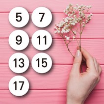 페토닷컴 화이트 디자인 아동의류 사이즈 라벨 100개 세트, 15호, 1세트