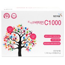 영진약품 트리플 비타민 C1000, 1개, 220g