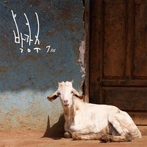 (CD) 박강수 - 7집 나비 (Digipack), 단품