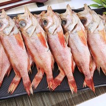 파란별건어물 [속초특산물] 쫄깃하고 담백한 맛 반건조 열갱이(열기 장문볼락) 29cm 열갱이, 10마리