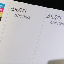 희망 명함, 스노우지