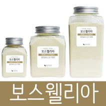 바른건강 TV방송인기제품 보스웨일리아 추출물 분말 파우더 가루 보스웰리아, 100g, 2개