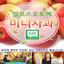 세척 알프스오토메(미니사과) 루비에스 제과점 데코용 2kg, 루비에스 스몰과(과실수40~50)