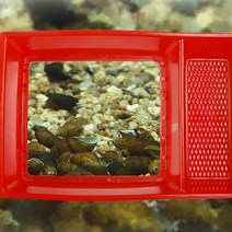 코스모인터내셔널 낚시용품 외 캠핑용품, 1개