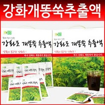 강화약초 개똥쑥 진액 건강즙 100ml 60개, 30팩 x 2박스