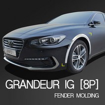 경동 그랜져 IG 휀다몰딩 8P