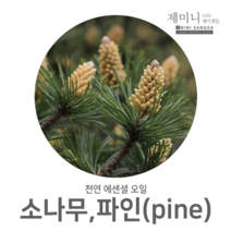 [제미니상사] 천연에센셜오일 아로마테라피 소나무 파인(pine), 1개, 30ml
