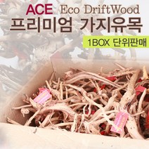 ACE 프리미엄 가지유목 40~45p, 1박스