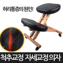 윈디 경락 피부미용 속눈썹연장 접이식마사지침대 마사지침대 마사지베드 마사지, 13. 자세교정의자