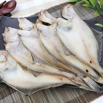 (할인이벤트중) 파란별건어물 [속초직송] 담백하고 깔끔한 맛 반건조 가자미(각시가자미) 32cm 가자미, 5마리