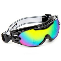 이세이브 일반형 감염예방 미세먼지 차단 고글, 블랙