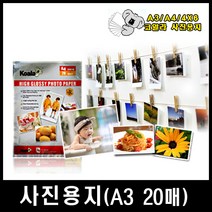 미쓰비시 코알라 사진용지 포토용지 고광택인화지, A3(20매), A3