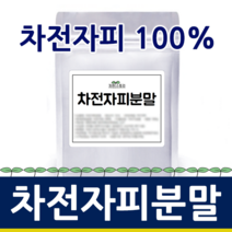 자연스토리 차전자피분말, 2000g, 1개