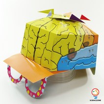 사이언스존 [뇌 모자(뇌 구조) 5인용] 과학실험 과학교구 과학실험키트 창의력 학습교구