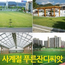 푸르네오 [오후5시 이전 주문 당일 발송] 사계절푸른잔디씨앗 잔디씨 잔디씨앗 정원용 (밭흙), 1개