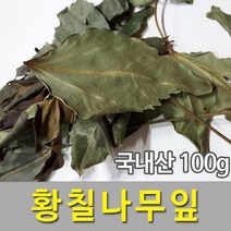 청명약초 황칠나무잎(100g)-국내산, 100g, 1개