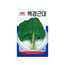 백경근대씨앗 10g