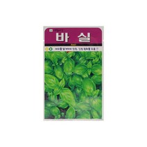 바실(허브)씨앗 50립
