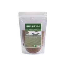양잔디씨앗 켄터키블루그라스 1kg, 1개