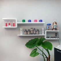 아이린 Y자 곡선 인테리어 무지주 벽걸이 벽선반, 화이트