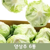 가성비 좋은 양상추박스 중 인기 상품 소개