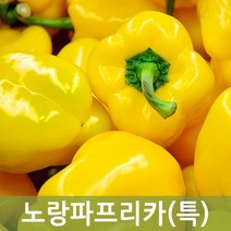 국산 노랑파프리카(특) 5kg, 1박스