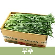 두리반농산 부추 4kg - 솔 정구지, 1박스