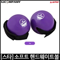[스타스포츠] 소프트 핸드 웨이트볼 손잡이형 운동볼, 1kg