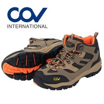 COV-N601
