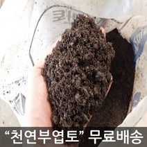 인기 많은 토양 추천순위 TOP100 상품 소개