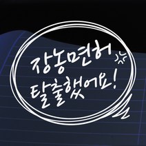 크레코 말풍선자동차스티커 주문제작 자동차스티커 차량용스티커, 화이트07 장농면허탈출, 1개