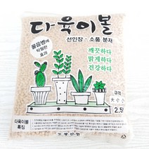 온누리농원 다육이 분갈이용 중립자, 1개