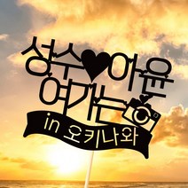 e베이비랜드 케이크토퍼 주문제작 여행토퍼 환갑토퍼 생신 생일 프로포즈 등, ♥여행 케이크토퍼♥_TP.419_여행소품_블랙