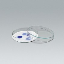 사이언샵 (사이언샵)페트리접시(샬레 유리)120mm