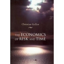 The Economics of Risk and Time Paperback, Mit Press