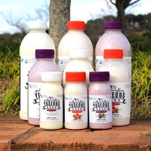 유성목장 마시는 플레인 요거트 150ml 외, 1병, 500ml
